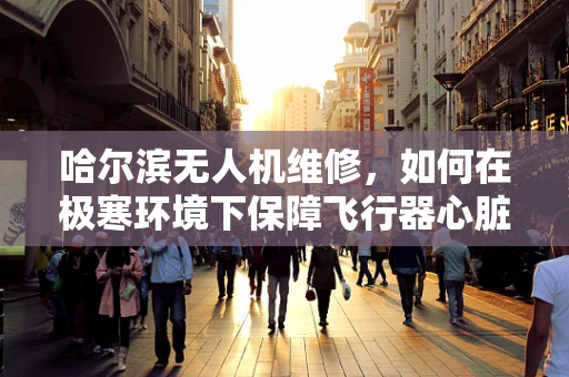 哈尔滨无人机维修，如何在极寒环境下保障飞行器心脏健康？