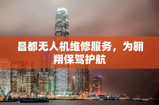 昌都无人机维修服务，为翱翔保驾护航