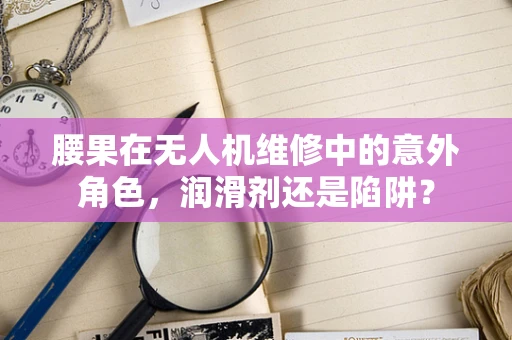 腰果在无人机维修中的意外角色，润滑剂还是陷阱？
