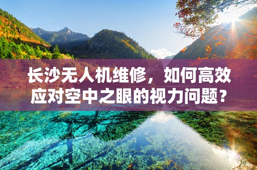 长沙无人机维修，如何高效应对空中之眼的视力问题？