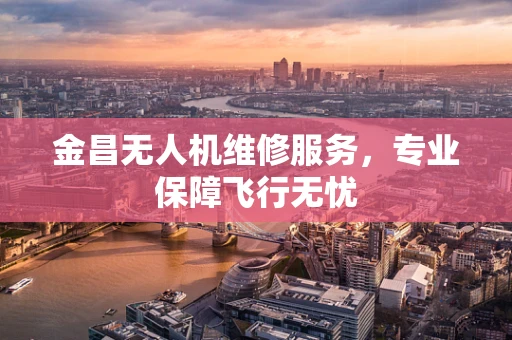 金昌无人机维修服务，专业保障飞行无忧