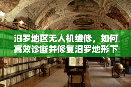 汨罗地区无人机维修，如何高效诊断并修复汨罗地形下的特殊挑战？