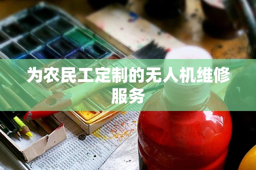 为农民工定制的无人机维修服务