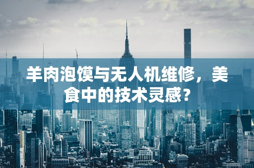 羊肉泡馍与无人机维修，美食中的技术灵感？