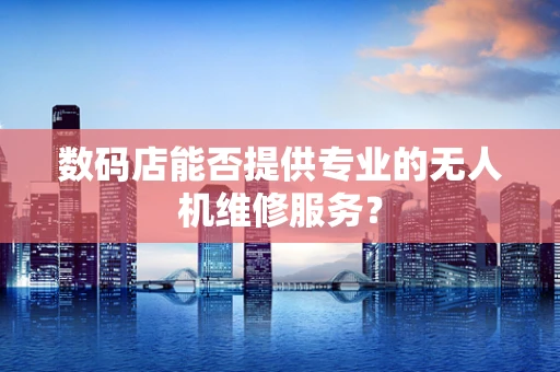 数码店能否提供专业的无人机维修服务？