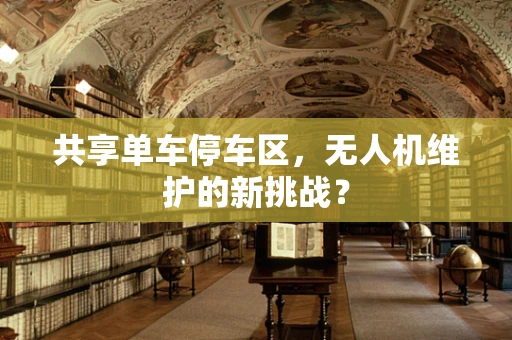 共享单车停车区，无人机维护的新挑战？