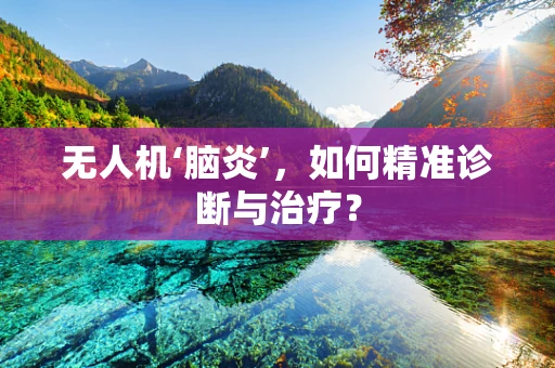 无人机‘脑炎’，如何精准诊断与治疗？