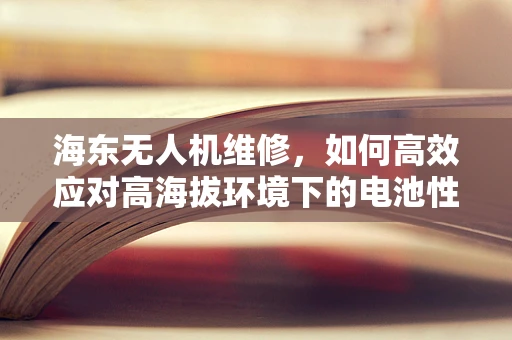 海东无人机维修，如何高效应对高海拔环境下的电池性能挑战？
