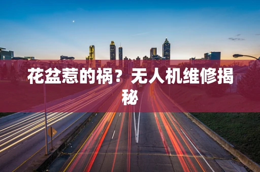 花盆惹的祸？无人机维修揭秘