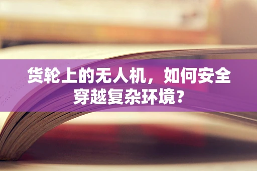 货轮上的无人机，如何安全穿越复杂环境？
