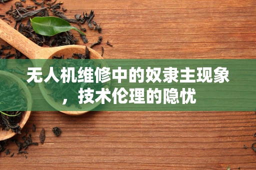 无人机维修中的奴隶主现象，技术伦理的隐忧