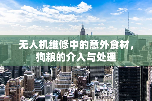 无人机维修中的意外食材，狗粮的介入与处理