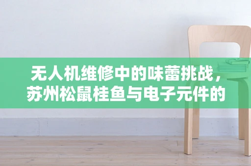 无人机维修中的味蕾挑战，苏州松鼠桂鱼与电子元件的微妙平衡