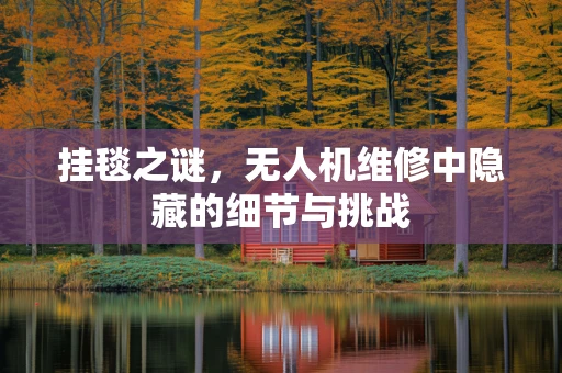 挂毯之谜，无人机维修中隐藏的细节与挑战