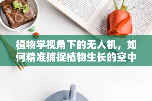 植物学视角下的无人机，如何精准捕捉植物生长的空中之眼？