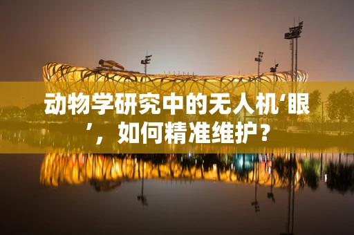 动物学研究中的无人机‘眼’，如何精准维护？