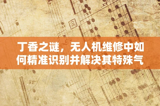 丁香之谜，无人机维修中如何精准识别并解决其特殊气味问题？
