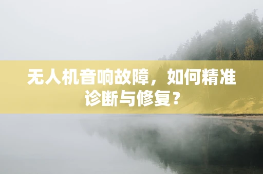 无人机音响故障，如何精准诊断与修复？