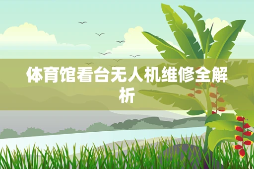 体育馆看台无人机维修全解析