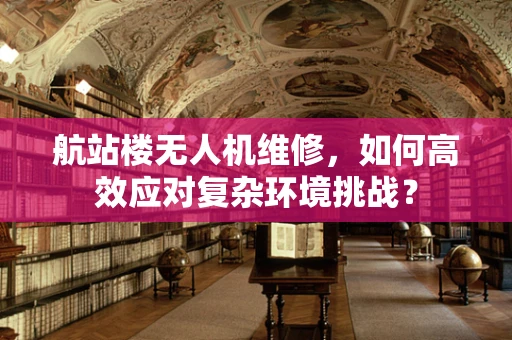 航站楼无人机维修，如何高效应对复杂环境挑战？