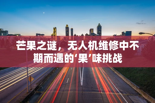 芒果之谜，无人机维修中不期而遇的‘果’味挑战