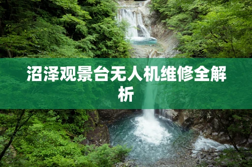 沼泽观景台无人机维修全解析