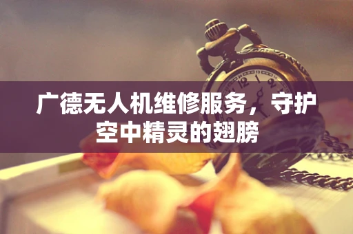 广德无人机维修服务，守护空中精灵的翅膀