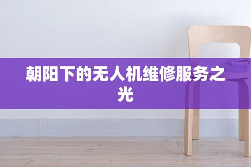 朝阳下的无人机维修服务之光