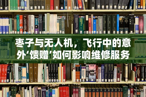 枣子与无人机，飞行中的意外‘馈赠’如何影响维修服务？