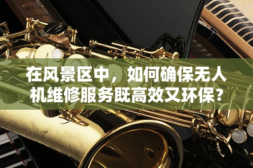 在风景区中，如何确保无人机维修服务既高效又环保？