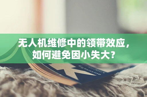 无人机维修中的领带效应，如何避免因小失大？