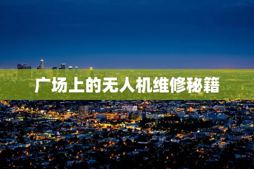 广场上的无人机维修秘籍