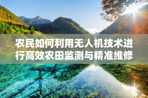 农民如何利用无人机技术进行高效农田监测与精准维修？
