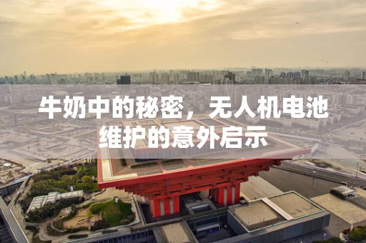 牛奶中的秘密，无人机电池维护的意外启示
