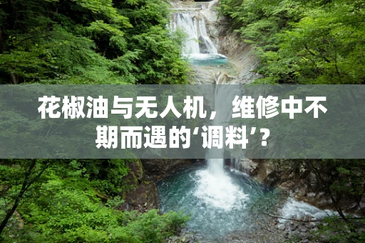 花椒油与无人机，维修中不期而遇的‘调料’？