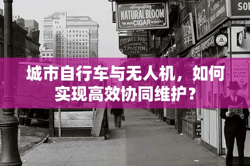 城市自行车与无人机，如何实现高效协同维护？