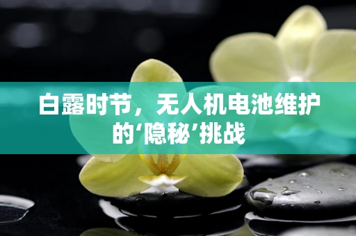 白露时节，无人机电池维护的‘隐秘’挑战