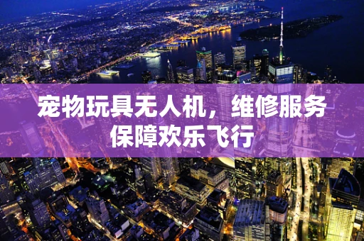 宠物玩具无人机，维修服务保障欢乐飞行