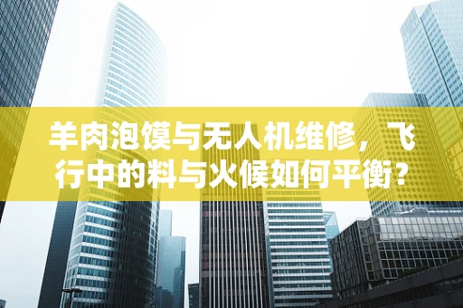 羊肉泡馍与无人机维修，飞行中的料与火候如何平衡？
