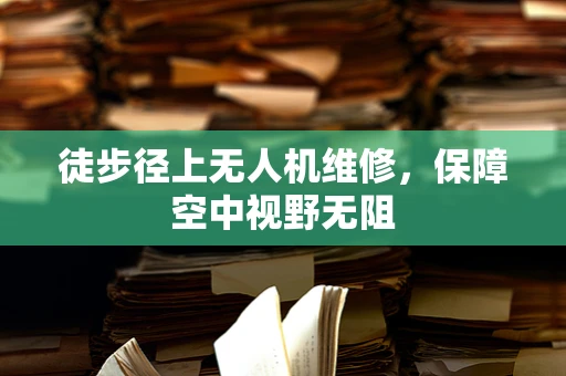 徒步径上无人机维修，保障空中视野无阻
