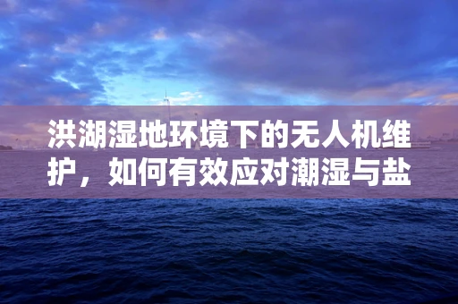 洪湖湿地环境下的无人机维护，如何有效应对潮湿与盐雾挑战？