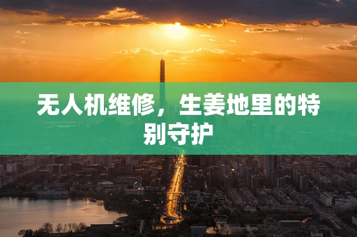 无人机维修，生姜地里的特别守护
