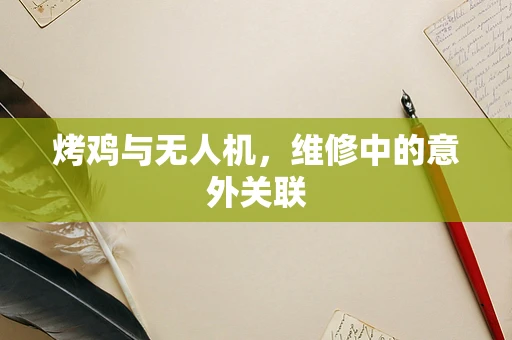 烤鸡与无人机，维修中的意外关联
