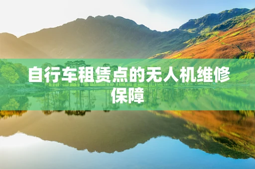自行车租赁点的无人机维修保障