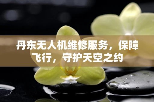 丹东无人机维修服务，保障飞行，守护天空之约
