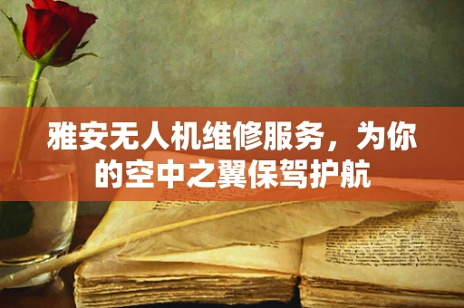 雅安无人机维修服务，为你的空中之翼保驾护航
