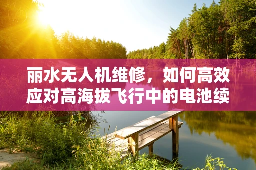 丽水无人机维修，如何高效应对高海拔飞行中的电池续航挑战？