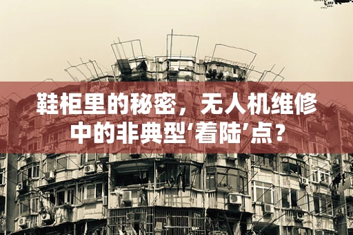 鞋柜里的秘密，无人机维修中的非典型‘着陆’点？