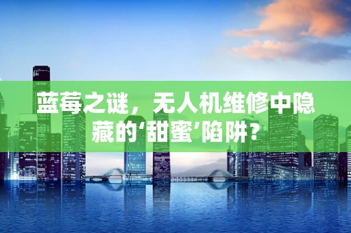 蓝莓之谜，无人机维修中隐藏的‘甜蜜’陷阱？