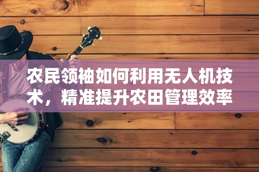 农民领袖如何利用无人机技术，精准提升农田管理效率？